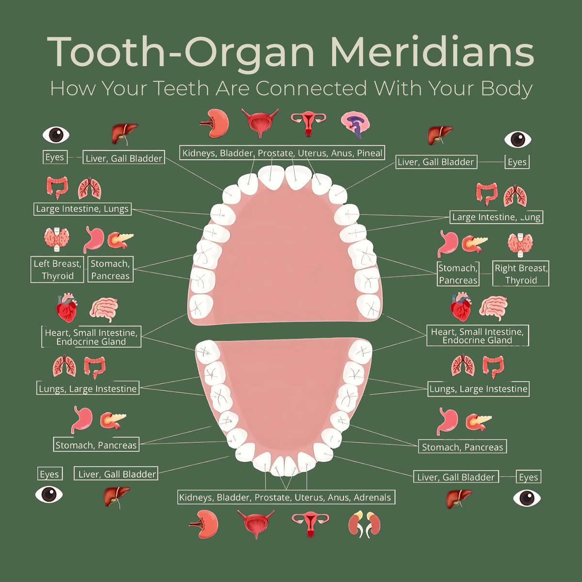 The surprising link between your teeth and emotions